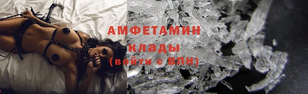 прущие грибы Пересвет