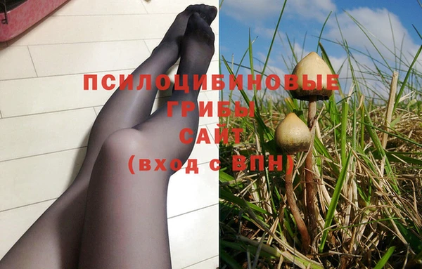 прущие грибы Пересвет