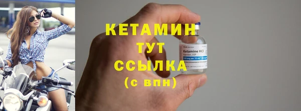 прущие грибы Пересвет